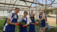 Gençlere 'dijital detoks'