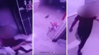 Hamile kediyi kameralara gösterip yere vurdu