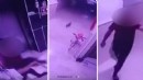Hamile kediyi kameralara gösterip yere vurdu
