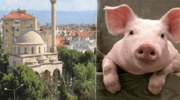 Hayır diye cami önünde binlerce kişiye domuz eti yedirmiş!