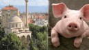 Hayır diye cami önünde binlerce kişiye domuz eti yedirmiş!