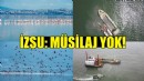 İZSU'dan açıklama: Müsilaj yok!
