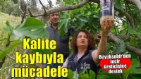 İncirde kalite kaybına karşı doğal mücadele