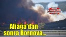 İzmir Bornova'da tarım arazisinde başlayan yangın ormana sıçradı