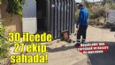 İzmir Büyükşehir Belediyesi 30 ilçede 27 ekiple görev başında