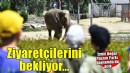 İzmir Doğal Yaşam Parkı bayramda ziyaretçileri bekliyor