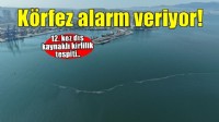 İzmir Körfezi göz göre göre kirletiliyor