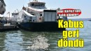 İzmir Körfezi'nde balık ölümleri