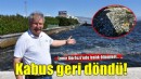 İzmir Körfezi'nde balık ölümleri