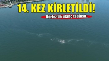 İzmir Körfezi’nde 14’üncü kez kirlilik tespit edildi