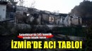 İzmir Seferihisar'daki orman yangınında 345 hanenin bulunduğu sitedeki bazı evler zarar gördü