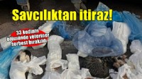 İzmir'de 33 kedi ölü bulunmuştu... Veterinerin serbest bırakılmasına itiraz!