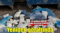 İzmir'de 33 kedinin ölü bulunduğu olayda şüpheli veterinere yeniden gözaltı