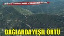 İzmir'de 5 yıl önce yanan orman, dikilen fidanlarla yeniden yeşerdi