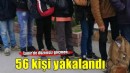 İzmir'de 56 düzensiz göçmen yakalandı