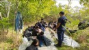İzmir'de 66 düzensiz göçmen yakalandı, 29 düzensiz göçmen kurtarıldı