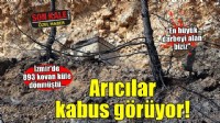 İzmir'de 893 kovan küle dönmüştü... Arıcılar yine kabus görüyor!