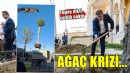İzmir'de ağaç krizi... Tugay dikti, valilik söktü!