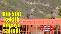 İzmir'de bin 500 keklik doğaya bırakıldı