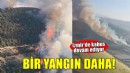 İzmir'de bir orman yangını daha!