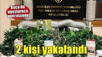 İzmir'de evde uyuşturucu yetiştiren 2 şüpheli yakalandı