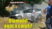 İzmir'de feci kaza: Otomobil ağaca çarptı!