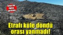 İzmir'de ilginç görüntü... Etrafı küle döndü, orası yanmadı!