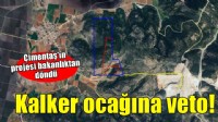 İzmir'de kalker ocağına zeytin iptali!