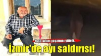 İzmir'de kan donduran olay... Yaşlı adama ayı saldırdı!