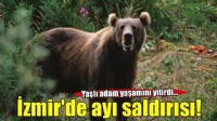 İzmir'de kan donduran olay... Yaşlı adama ayı saldırdı!