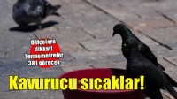 İzmir'de kavurucu sıcaklar!