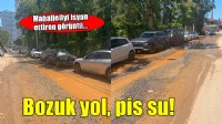İzmir'de mahalleliyi isyan ettiren görüntü!