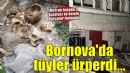 İzmir'de metruk binada poşetler içerisinde 3 kafatası ve kemik parçaları bulundu