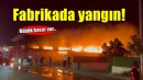 İzmir'de mobilya fabrikasında yangın