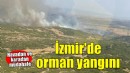 İzmir'de orman yangını..