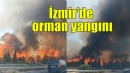 İzmir'de orman yangını...