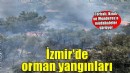 İzmir'de orman yangını