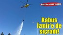 İzmir'de orman yangını!