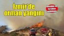 İzmir'de orman yangını