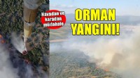 İzmir'de orman yangını