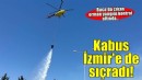 İzmir'de orman yangını: Kontrol altına alındı