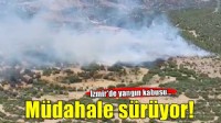 İzmir'de orman yangını paniği! Havadan ve karadan müdahale sürüyor...