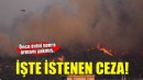 İzmir'de orman yangınına neden olduğu öne sürülen sanığa 3 yıla kadar hapis talebi