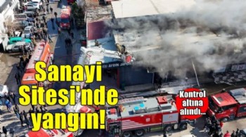 İzmir'de otomobil yedek parça dükkanında yangın!