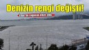 İzmir'de sağanak etkili oldu: Denizin rengi değişti!
