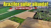 İzmir'de sağanak tarım arazilerini vurdu