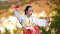 İzmir'de tai chi sporunu yaygınlaştırmak istiyor