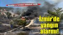 İzmir'de tarım arazisinden ormanlık alana sıçrayan yangın kontrol altına alındı