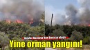 İzmir'de yangın... Alevler Bornova'dan Buca'ya ulaştı!