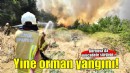 İzmir'de yangın... Alevler Bornova'dan Buca'ya ulaştı!